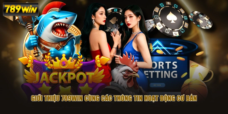 Giới thiệu 789WIN cùng các thông tin hoạt động cơ bản